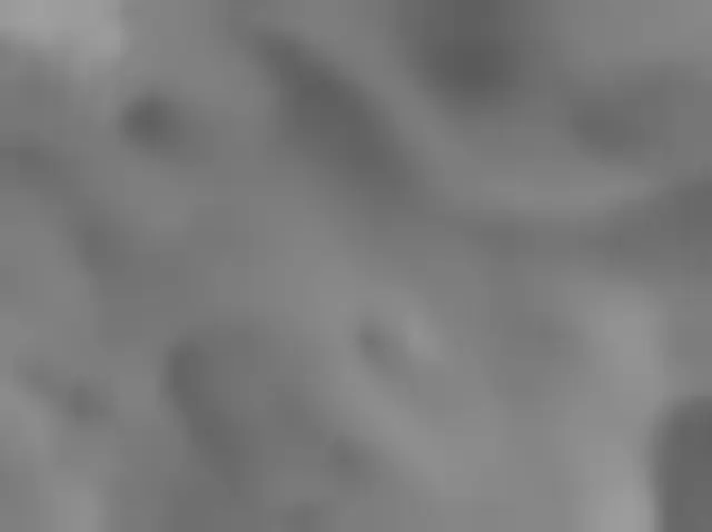 Sol 3645: Mars Hand Lens Imager (MAHLI)