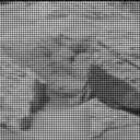 Sol 3646: Mast Camera (Mastcam)