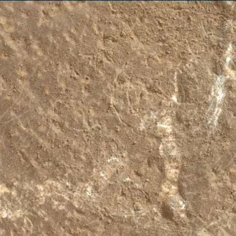Sol 3650: Mars Hand Lens Imager (MAHLI)