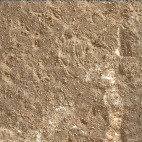 Sol 3650: Mars Hand Lens Imager (MAHLI)
