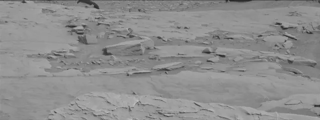 Sol 3651: Mast Camera (Mastcam)