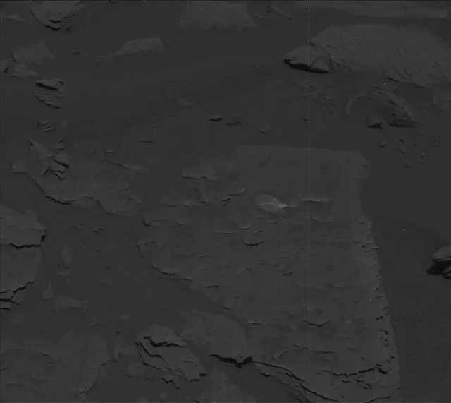 Sol 3651: Mast Camera (Mastcam)