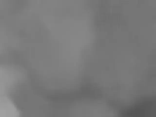 Sol 3651: Mars Hand Lens Imager (MAHLI)