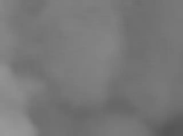 Sol 3651: Mars Hand Lens Imager (MAHLI)