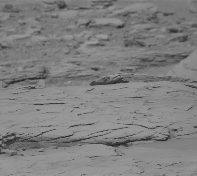 Sol 3653: Mast Camera (Mastcam)