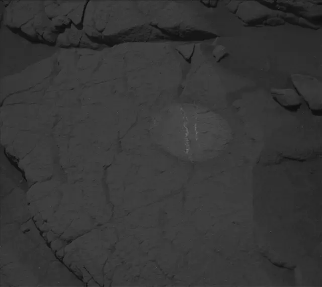 Sol 3658: Mast Camera (Mastcam)