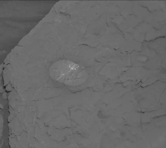 Sol 3665: Mast Camera (Mastcam)