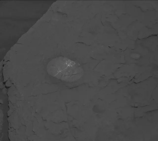 Sol 3665: Mast Camera (Mastcam)