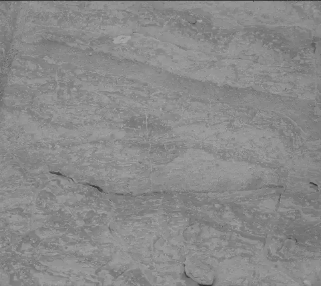 Sol 3669: Mast Camera (Mastcam)