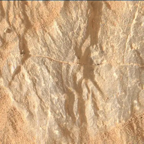 Sol 3671: Mars Hand Lens Imager (MAHLI)