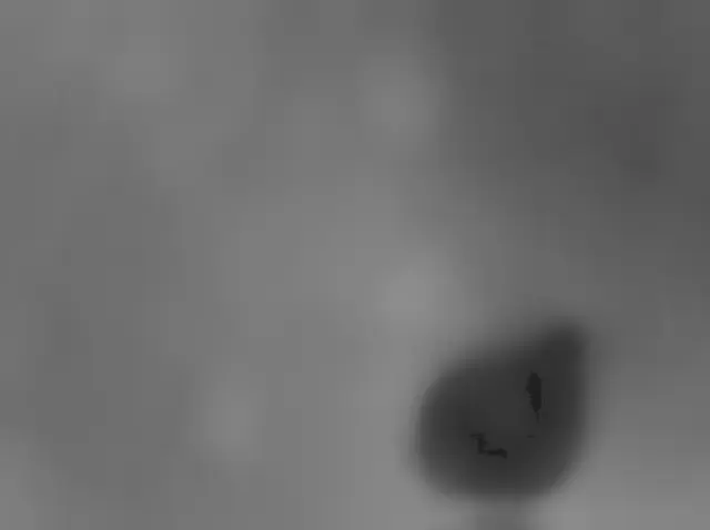 Sol 3677: Mars Hand Lens Imager (MAHLI)