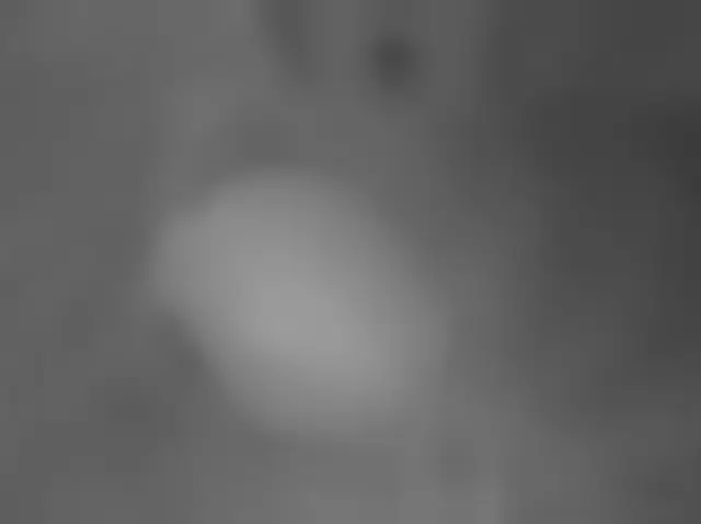 Sol 3682: Mars Hand Lens Imager (MAHLI)