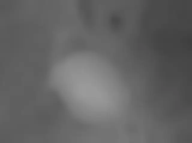 Sol 3682: Mars Hand Lens Imager (MAHLI)