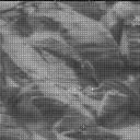 Sol 3687: Mast Camera (Mastcam)