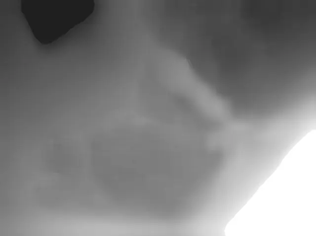 Sol 3690: Mars Hand Lens Imager (MAHLI)