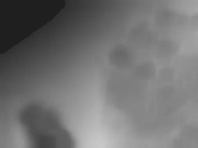 Sol 3690: Mars Hand Lens Imager (MAHLI)