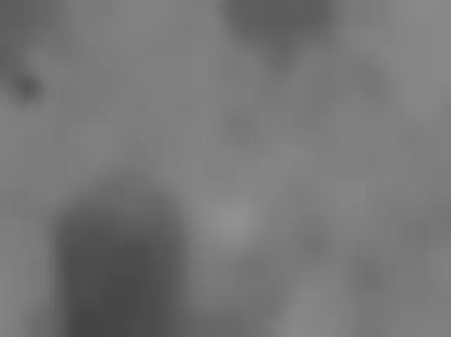 Sol 3708: Mars Hand Lens Imager (MAHLI)
