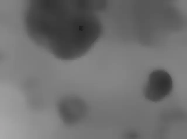 Sol 3735: Mars Hand Lens Imager (MAHLI)
