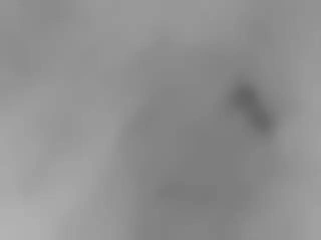 Sol 3739: Mars Hand Lens Imager (MAHLI)
