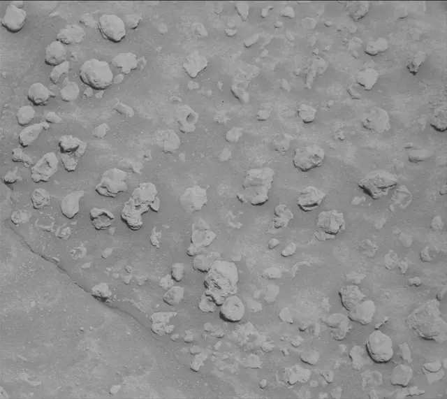 Sol 3747: Mast Camera (Mastcam)