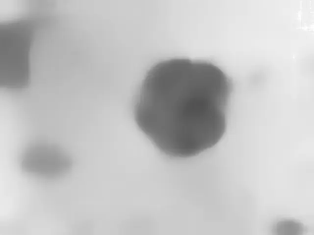 Sol 3748: Mars Hand Lens Imager (MAHLI)