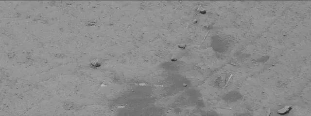 Sol 3763: Mast Camera (Mastcam)