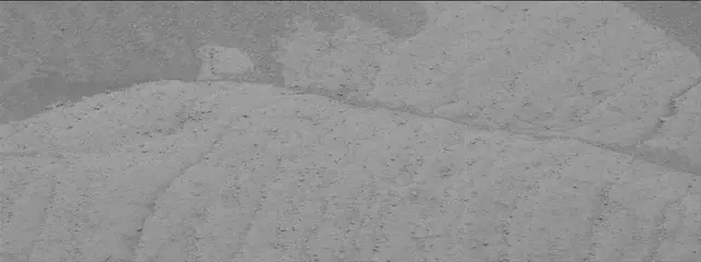 Sol 3763: Mast Camera (Mastcam)
