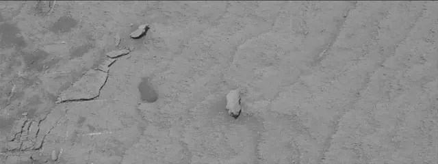Sol 3763: Mast Camera (Mastcam)
