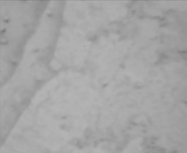 Sol 3768: Mast Camera (Mastcam)