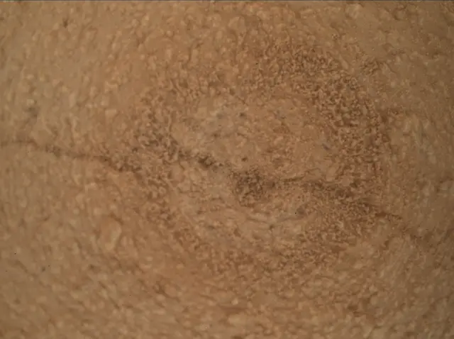 Sol 3798: Mars Hand Lens Imager (MAHLI)