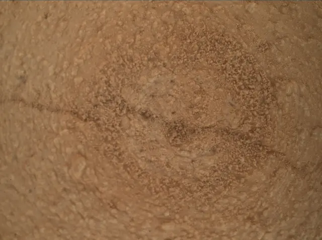 Sol 3798: Mars Hand Lens Imager (MAHLI)