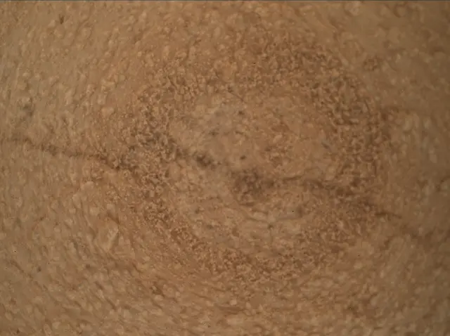 Sol 3798: Mars Hand Lens Imager (MAHLI)