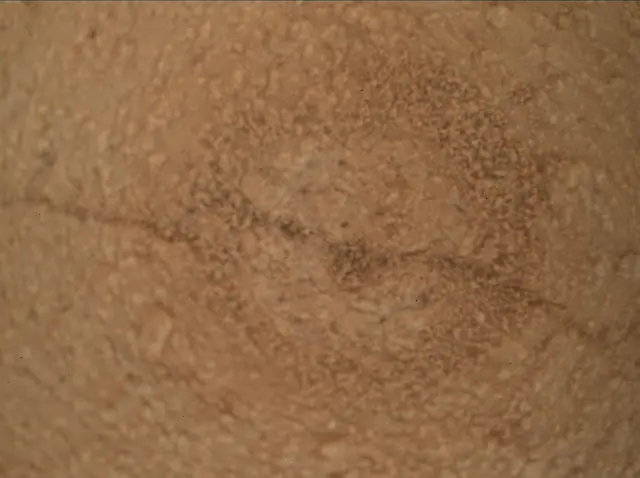 Sol 3798: Mars Hand Lens Imager (MAHLI)