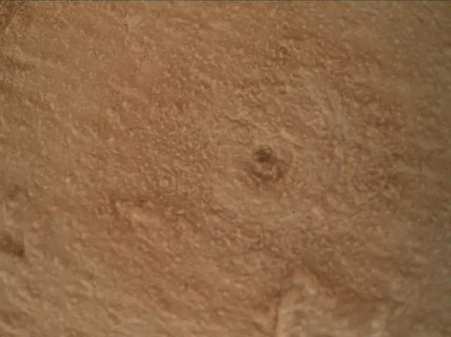Sol 3800: Mars Hand Lens Imager (MAHLI)