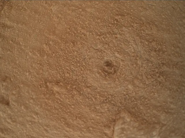 Sol 3800: Mars Hand Lens Imager (MAHLI)