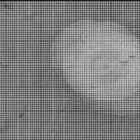 Sol 3801: Mast Camera (Mastcam)