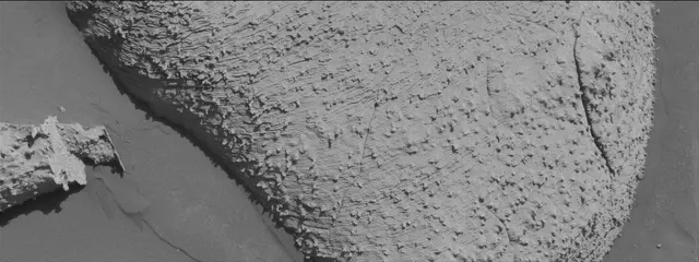 Sol 3845: Mast Camera (Mastcam)