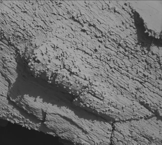 Sol 3848: Mast Camera (Mastcam)