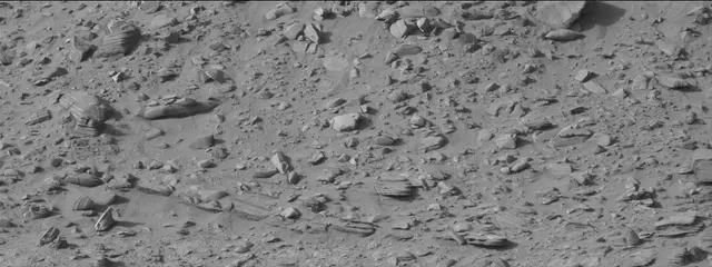 Sol 3861: Mast Camera (Mastcam)