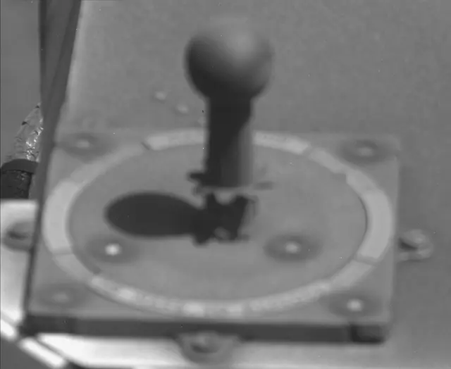 Sol 3865: Mast Camera (Mastcam)
