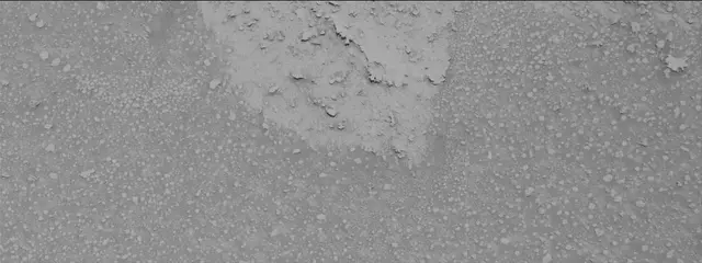 Sol 3868: Mast Camera (Mastcam)