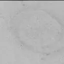 Sol 3873: Mast Camera (Mastcam)