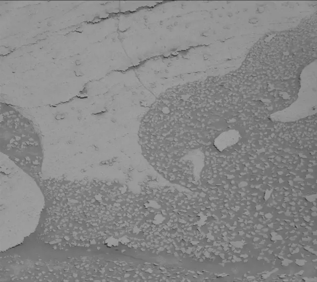 Sol 3876: Mast Camera (Mastcam)