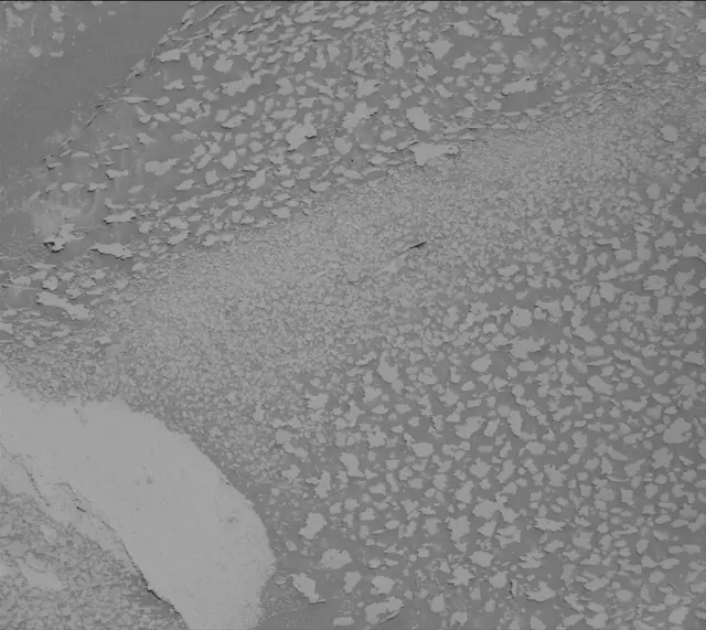 Sol 3876: Mast Camera (Mastcam)