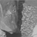 Sol 3877: Mast Camera (Mastcam)