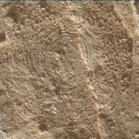 Sol 3889: Mars Hand Lens Imager (MAHLI)
