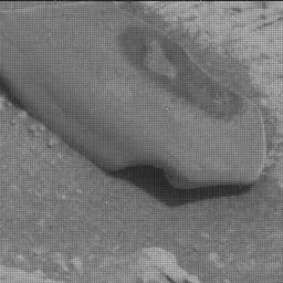 Sol 3890: Mast Camera (Mastcam)