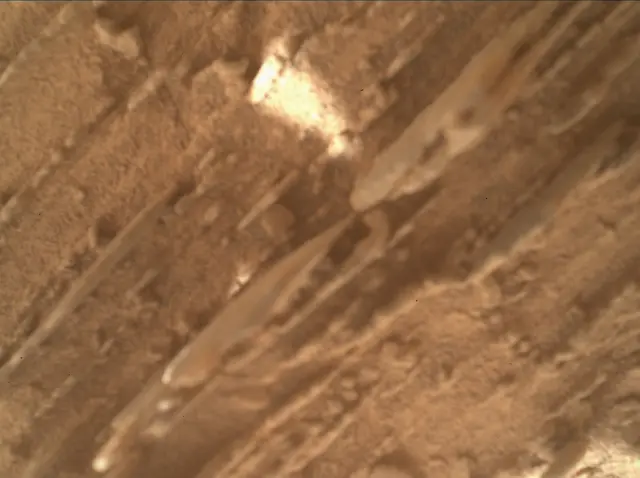 Sol 3899: Mars Hand Lens Imager (MAHLI)