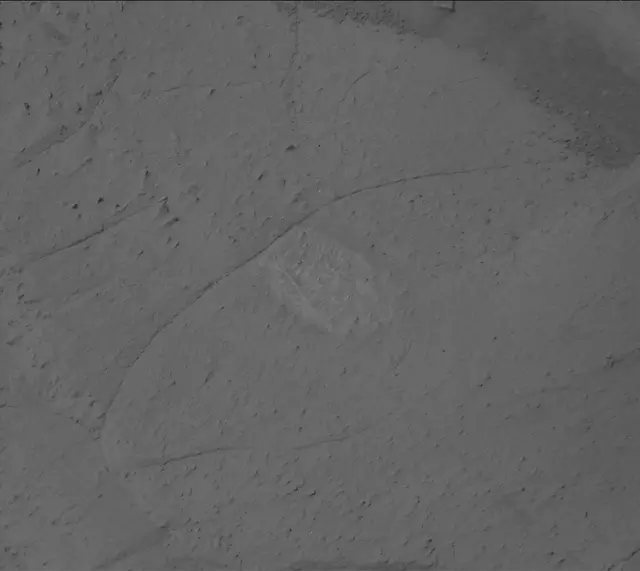 Sol 3903: Mast Camera (Mastcam)