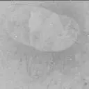 Sol 3906: Mast Camera (Mastcam)